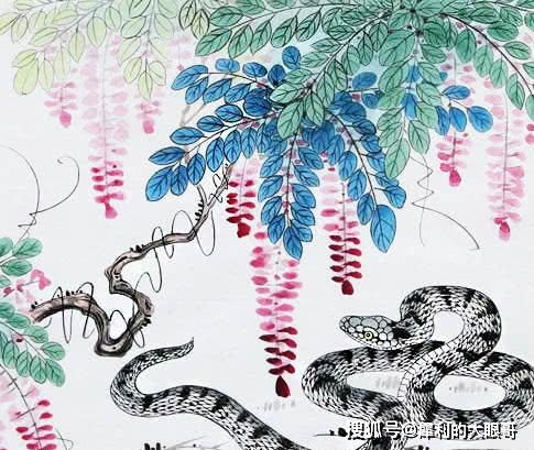 风雨同舟的生肖是什么？