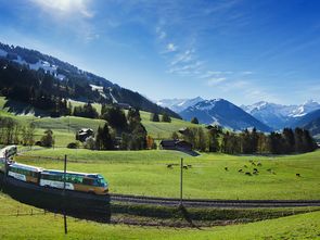 第九天：前往日内瓦，  国际者阝市风情