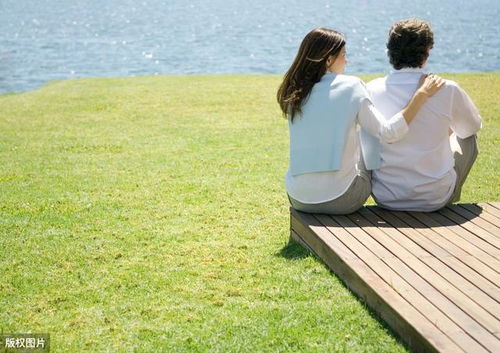 五、  借力修缘：专业咨询与外部智慧的介入