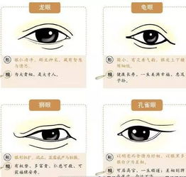 六、 视久不脱：恒心与毅力的保障