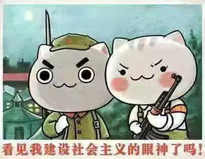 （六）属兔者之善于沟通与合作探讨