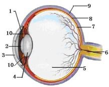接地气的命名法：实实在在的好