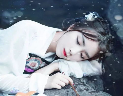 生肖、 星座与五行相合：探究昵称背后潜在的风水考量