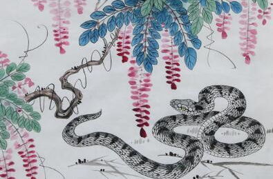 生肖蛇：文昌星照下的智囊担当与战略跃迁