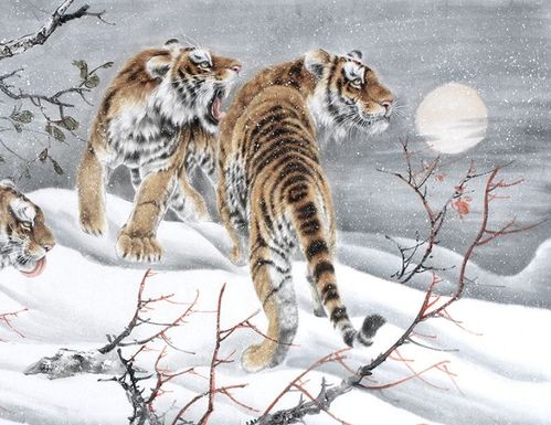 属虎2026年1月及每月运势具体内容是什么？