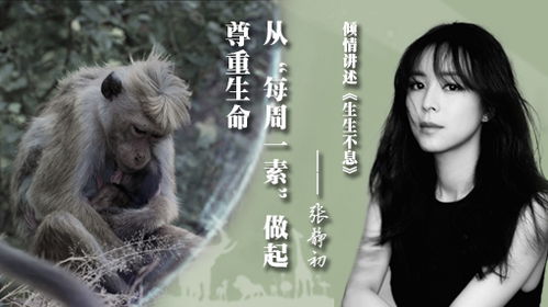 三、 国学命理中的情感与命运