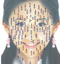 头顶篇：头发里的玄机