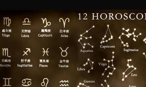 一、：风水选址与生肖星座在商业决策中的理论渊源