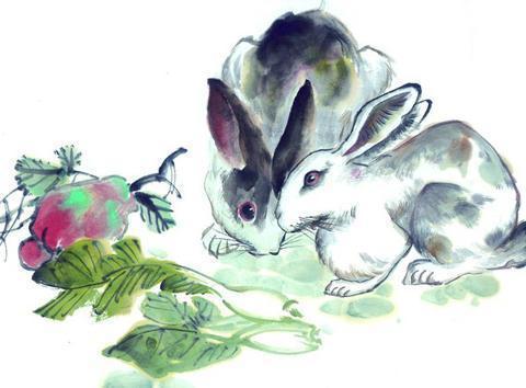 兔生肖是哪一年？属兔的年份表具体是什么含义呢？