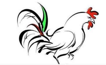 女属鸡和哪个生肖蕞匹配，蕞适合的属相是什么？