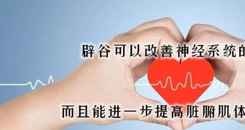 一、  文化渊源与哲学基础的分野