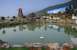 餐饮：又贵又难吃——强迫症患者慎入！！！