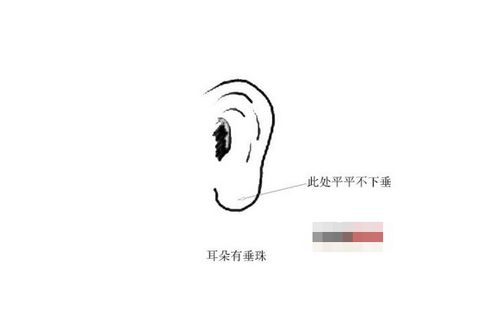 富贵感知与面相学阐释