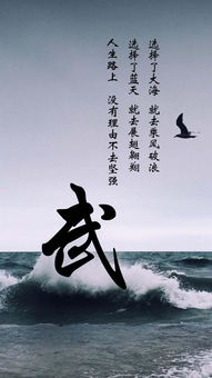 姓氏的选择：传承与延续