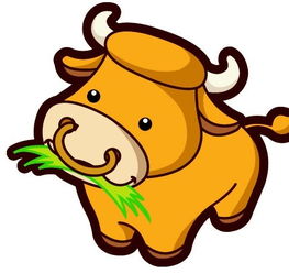 第一个大雷区：属马的暴脾气