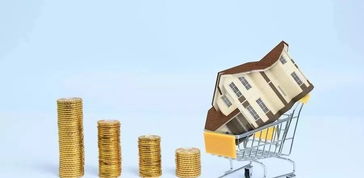 2. 金气柔化路径——以水泄金， 以木耗金，以土生金
