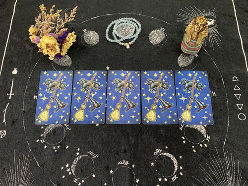 太阳星座落在狮子座，塔罗牌太阳代表哪个星座？