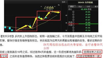 1.1 债务结构的层次化特征