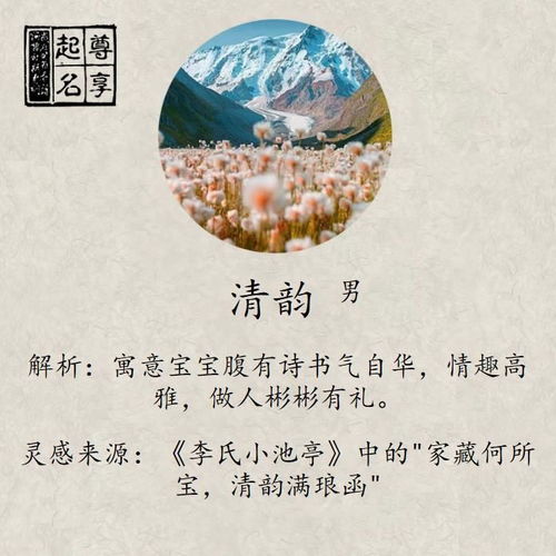 那些让人眼花缭乱的组合