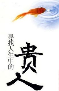 四、 流年影响及本命年概念的深化探讨