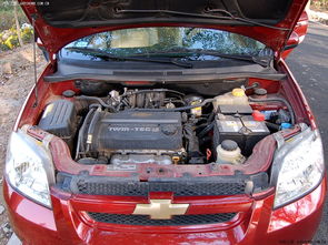 研究背景与意义