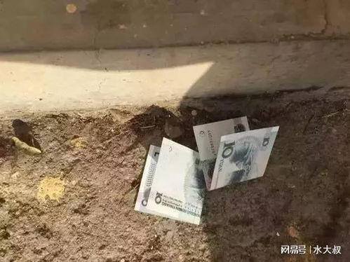 地上捡到钱再多也不捡，这背后有什么科学原因呢？