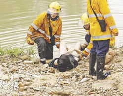 梦见洪水男朋友死亡心痛，醒来后担心，这是怎么回事？