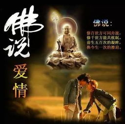 童子命概念之定义与历史渊源