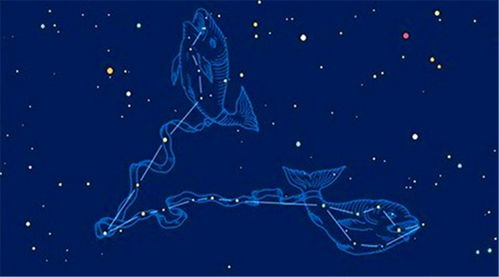 今日幸运物：信不信由你