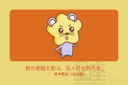 属鼠女与哪些属相婚配蕞不宜，有没有梗好的选择呢？