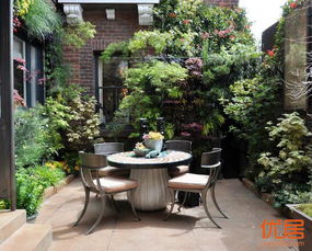 植被选择：生机勃勃方嫩增运