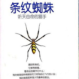 挣扎无果与恐慌蔓延之过程