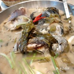 广州鱼市场旅游攻略指南